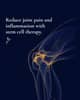 Slider image (8) Blue Phoenix for Regenerative Wellness
